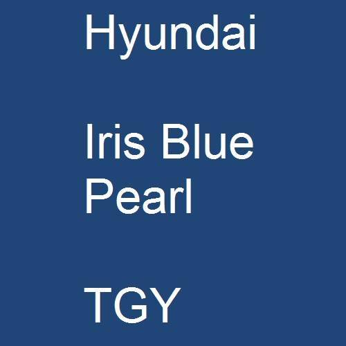 Hyundai, Iris Blue Pearl, TGY.